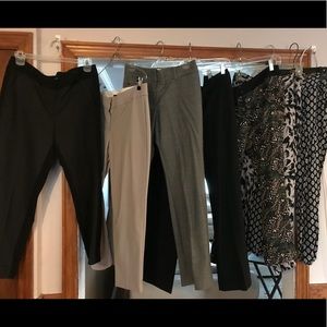 Women’s pants 6 petite LOFT